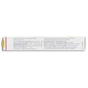 タクロリムス  0.1% 軟膏 （GSK） 成分