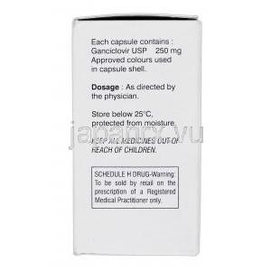 ガンガード Ganguard, シトベン ジェネリック, ガンシクロビル, 250 mg, カプセル, 箱使用上注意