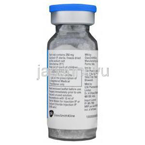 ゾビラックス　IV　アシクロビル 静脈内注入　 10mlバイアルにつき250mg　情報