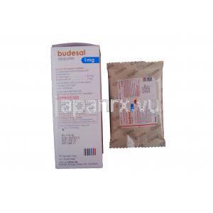 ブデサールレスピュール,　レバルブテロール 1.25mg/ブデソニド 1mg  2ml 情報