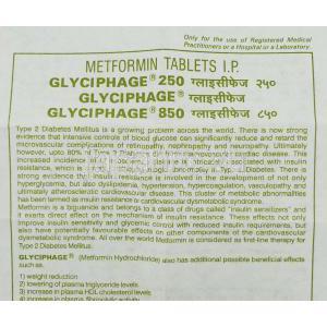 グリシフェージ, メトホルミン  850mg 錠 (Franco-Indian) 情報シート1