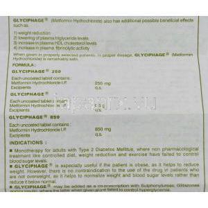 グリシフェージ, メトホルミン  850mg 錠 (Franco-Indian) 情報シート2