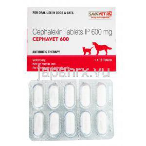 セファベット, セファレキシン 300mg, 犬猫経口薬,1シート10錠入り,　シート裏面情報,製造元