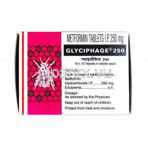 グリシフェージ, メトホルミン 250 mg 錠 箱 成分