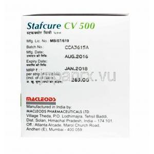 スタフキュア CV (セフロキシム/ クラブラン酸) 500mg 製造元