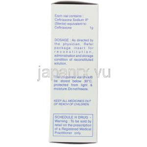 オフラマックス Oframax, ロセフィン ジェネリック, セフトリアキソンナトリウム 1gm / 10ml 注射 (Ranbaxy)