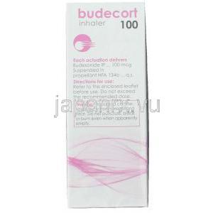 ブデソニド（パルミコート ジェネリック） 100mcg 200回 吸入剤 (Cipla) 成分