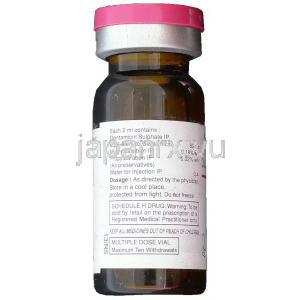 ゲンタマイシン 注射 (Ranbaxy) 成分