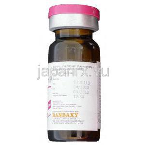 ゲンタマイシン 注射 (Ranbaxy) 製造者情報
