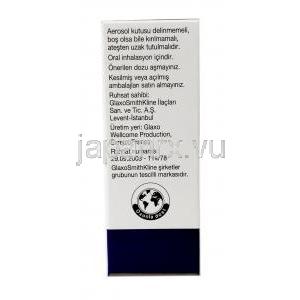 セレタイド インヘラー, サルメテロール 25mcg/ フルチカゾン 250mcg,120回分 インヘラー, 製造元：GSK,箱情報, 製造元