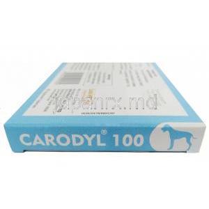 カロディル  100, カプロフェン 100 mg, 6 錠, 製造元：Sava Vet, 箱側面