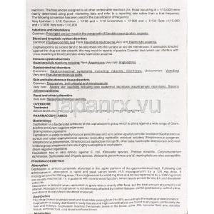 フェキシン ・ Phexin 小児用 ドロップ (GSK) 情報シート3
