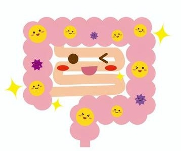腸の健康