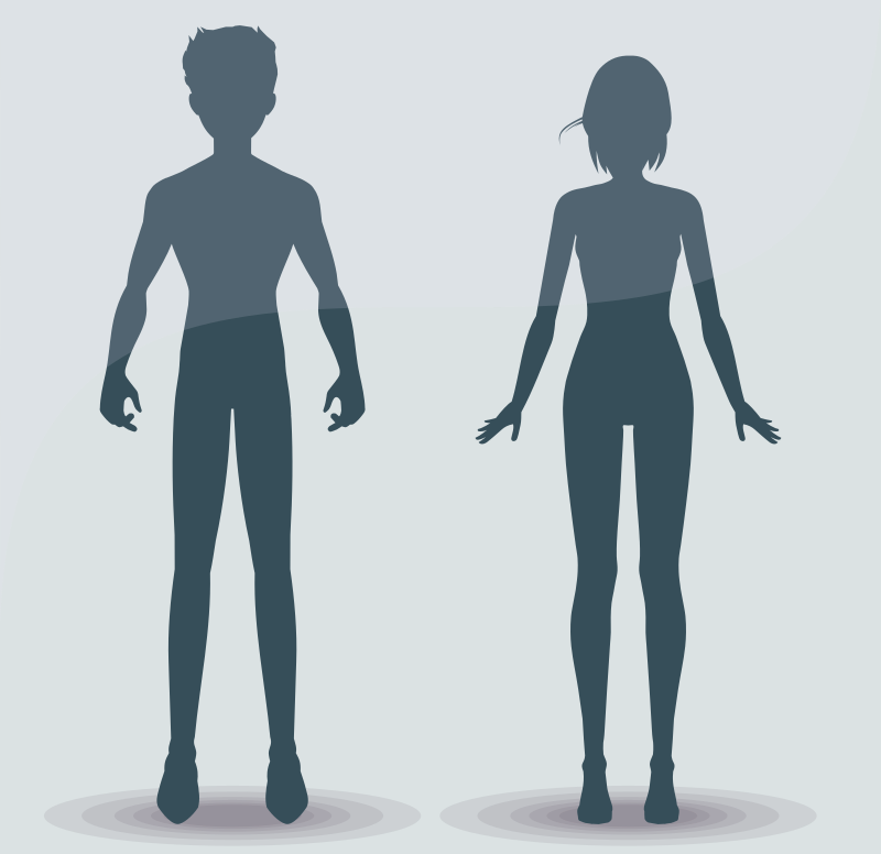 男性と女性のからだ