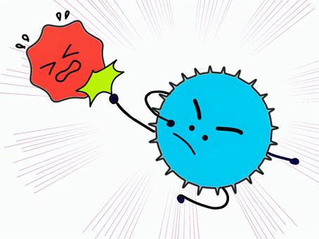 菌キック