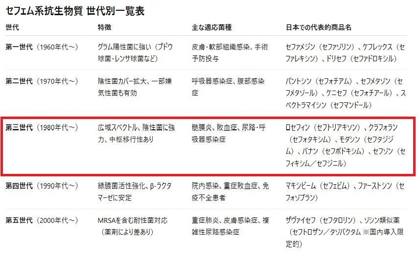 第三世代