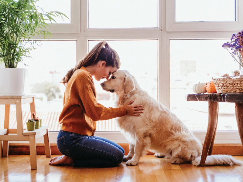 飼い主と犬