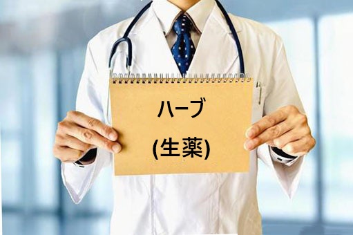 ハーブ