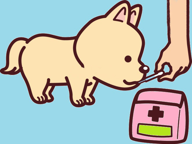 ワンちゃんお薬