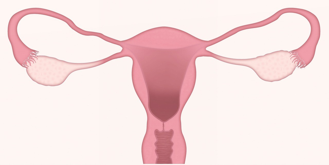  	https://www.japanrx.md/imgs/13882-female.jpg