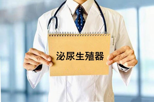 泌尿生殖器